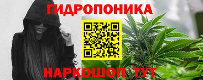 2c-b Обь