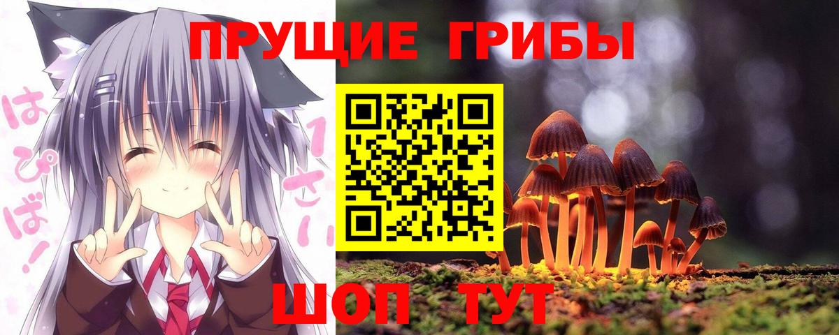 Псилоцибиновые грибы мицелий Тайшет