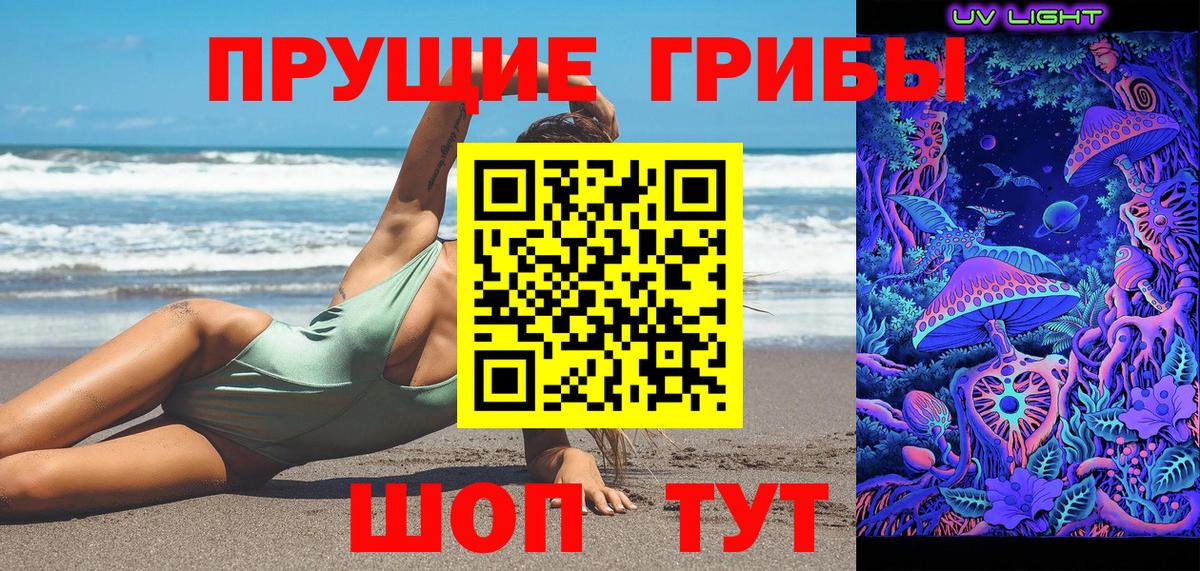 Тайшет  Псилоцибиновые грибы Psilocybe  Вход с VPN  Галлюциногенные грибы Cubensis 